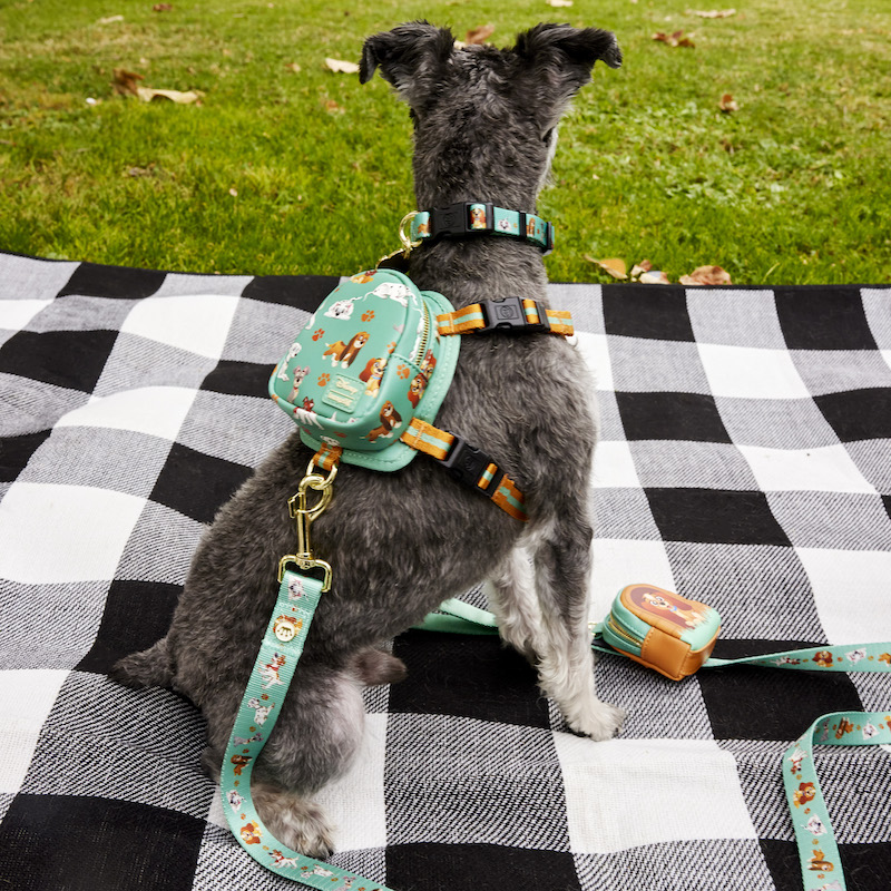 Schnauzer sitting on a black and white plaid blanket, facing away from camera, wearing the I Heart Disney Dogs mini backpack harness, featuring an all-over print of various Disney dogs, like Lady, the Tramp, and Copper. 